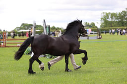 J36_5930 2026