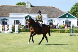 Ridden Hunter Lightweight