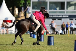 H46_8604 2026