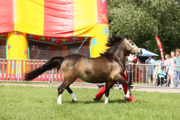E34_1296 2026