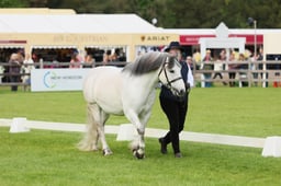 S29_0648 2026