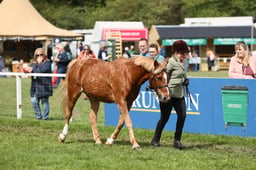 E31_0947 2026