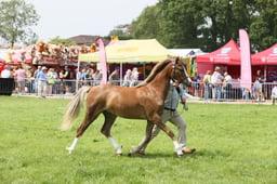 E34_1756 2026