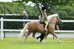 Z41_0163 2026