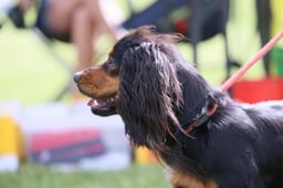 M36_0625 2026