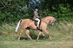 S60_0058 2026