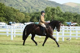 E42_0046 2026