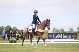 332 GURTEEN TONTO