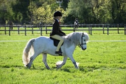 S19_8645 2026