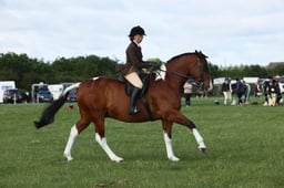 E36_0457 2026