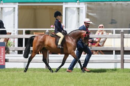 S31_6842 2026