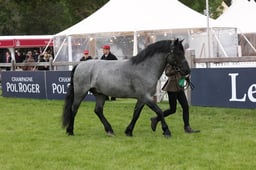 W29_0721 2026