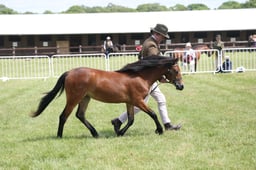 M41_1202 2026