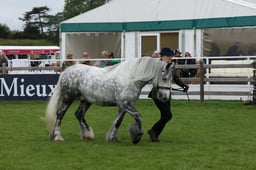 W29_0918 2026
