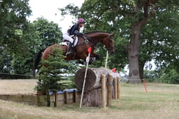 207 BURDAL DUKE