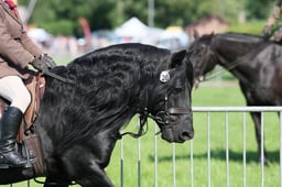 C33_0594 2026
