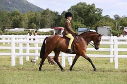 E42_0515 2026