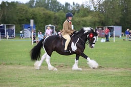 W36_2319 2026