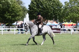 E42_3105 2026