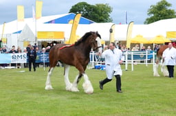F44_0372 2026