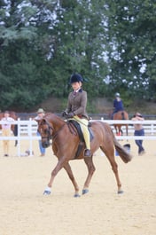 E65_1993 2026