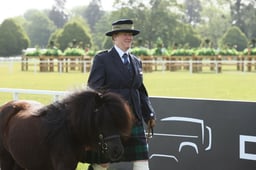 E31_0057 2026