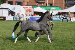 C69_4375 2026