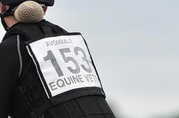 C57_0119 2026