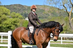53 M&M Confined Novice Connemara & NF