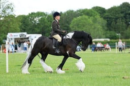 H36_7355 2026