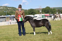 British Miniature Championship
