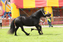 E34_2701 2026