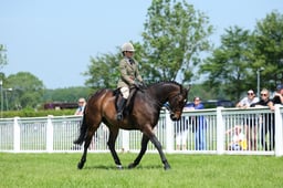 F34_1862 2026
