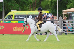 132 First Ridden Pony of Show Pony Type