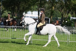C33_0450 2026