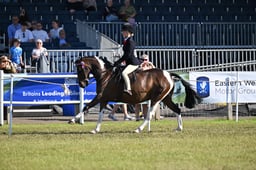 A47_0918 2026