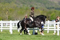 H19_0442 2026