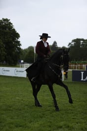 E30_5409 2026