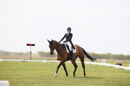 04 TREVILLICK