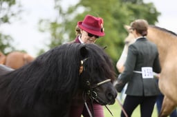 E29_0820 2026