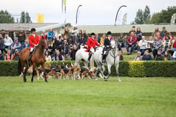 Hound Parade