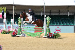 21 FORCES EQUINE SEFTON