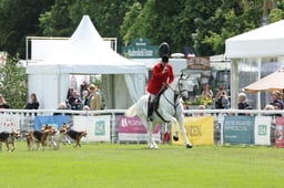 Parade of Hounds