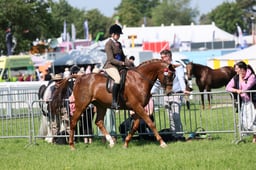 C33_0954 2026
