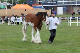 M44_0687 2026