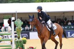 Walwyn Novice