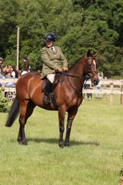 Hereford Ring B