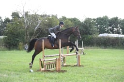 113 LIHS Working Hunter