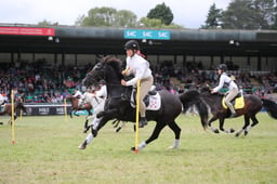 Pony Club Mounted Games