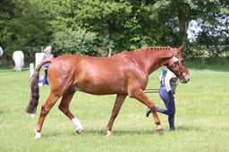 J36_6816 2026